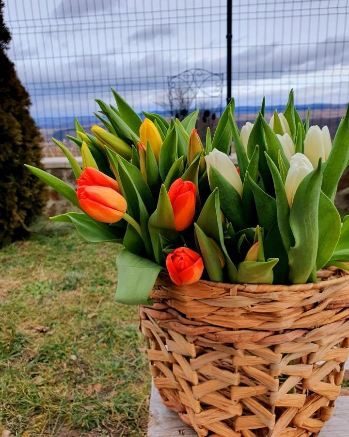 Cabana Dintre VII Hotel Nagyapold Kültér fotó