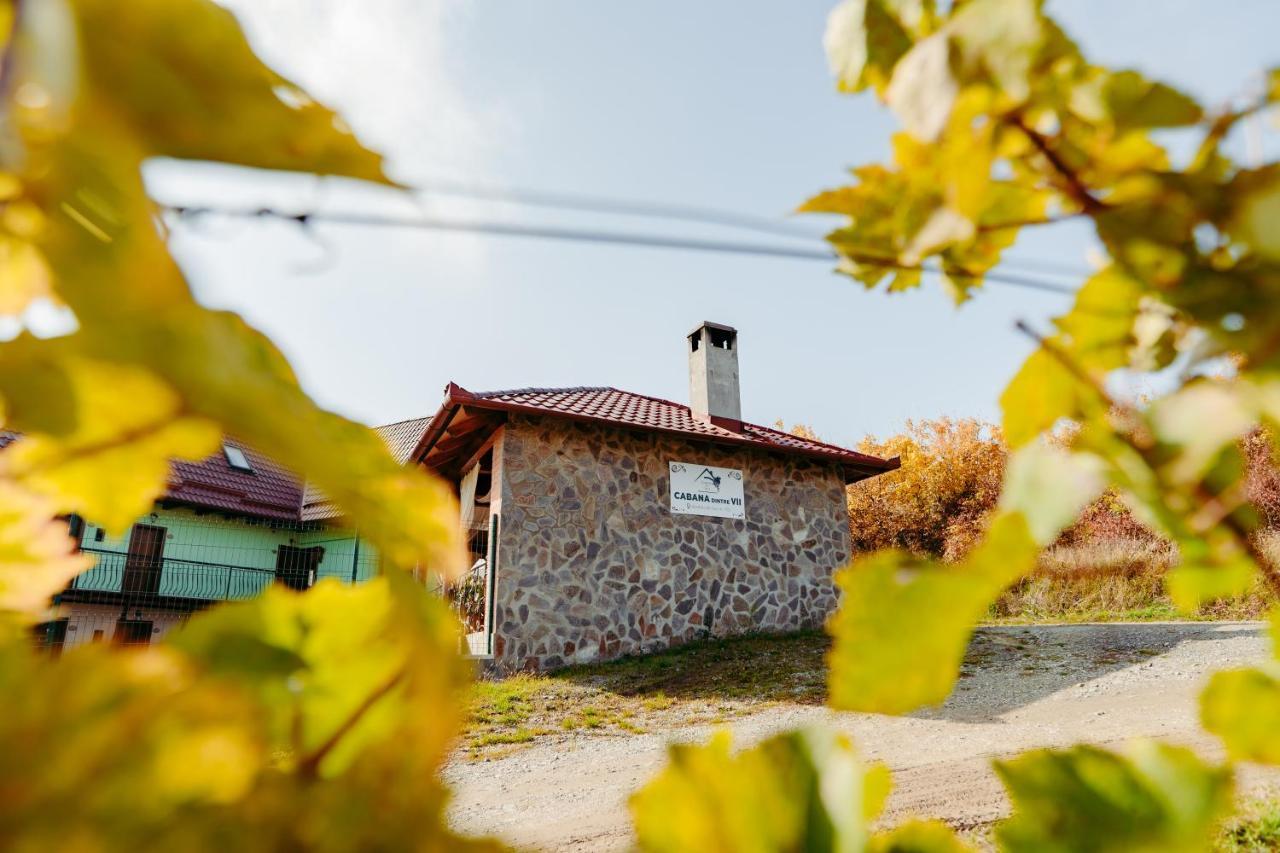 Cabana Dintre VII Hotel Nagyapold Kültér fotó